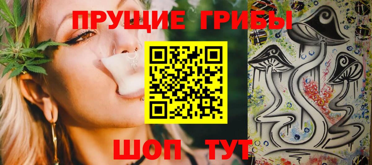 Галлюциногенные грибы прущие грибы Новороссийск