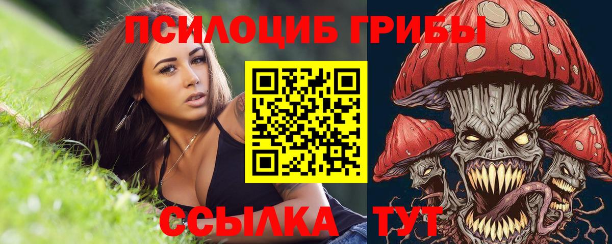 Галлюциногенные грибы Psilocybe  Вход с VPN  Новороссийск  Псилоцибиновые грибы ЛСД 